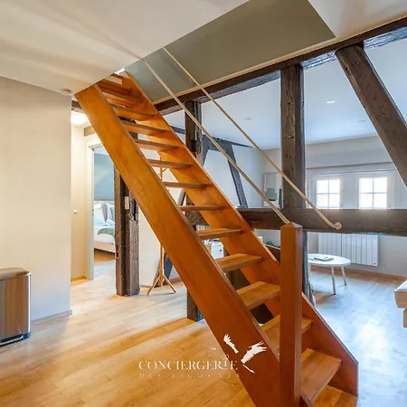 Lejlighed Pistachio Duplex - Hypercentre Colmar