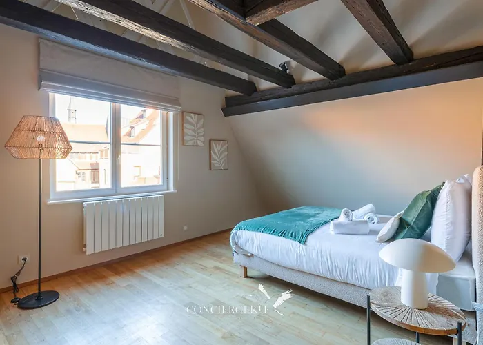 Pistachio Duplex - Hypercentre Apartamento *